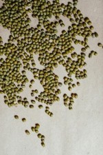 Mung Organic Beans Whole Green Moong Bean Dried Dal Non-Gmo Split 'Green Gram' '