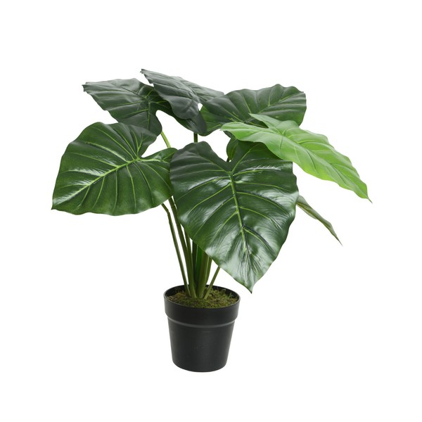 KüNstliche Taro Pflanze Im Topf Kunstpflanze Dekopflanze H: 52Cm GrüN-image