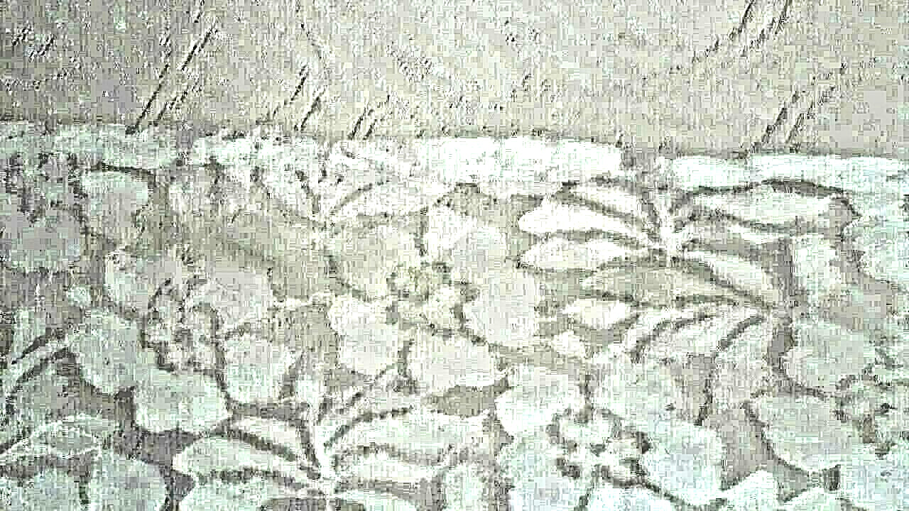 Symphony Designs White Lace Triangular Wrap W 7.5… - image 6