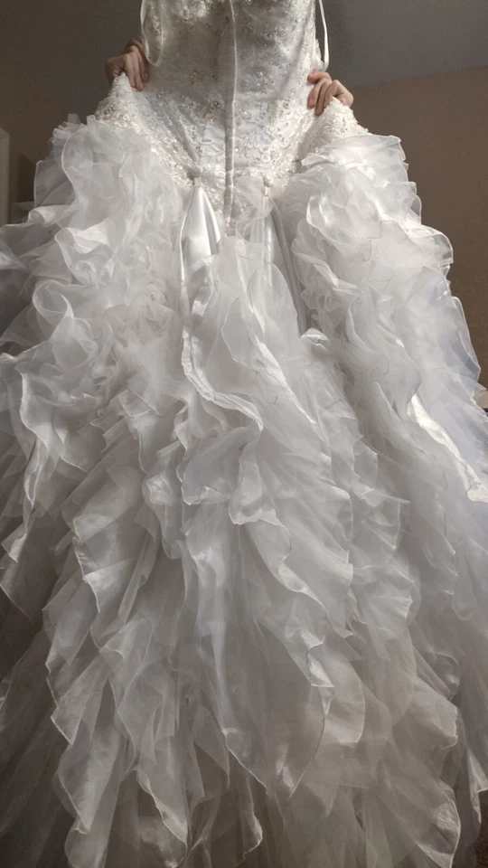 Gorgeous!! Fairy Tale Looking David's Bridal Size 14 Wedding Dress - Image 2 of 4