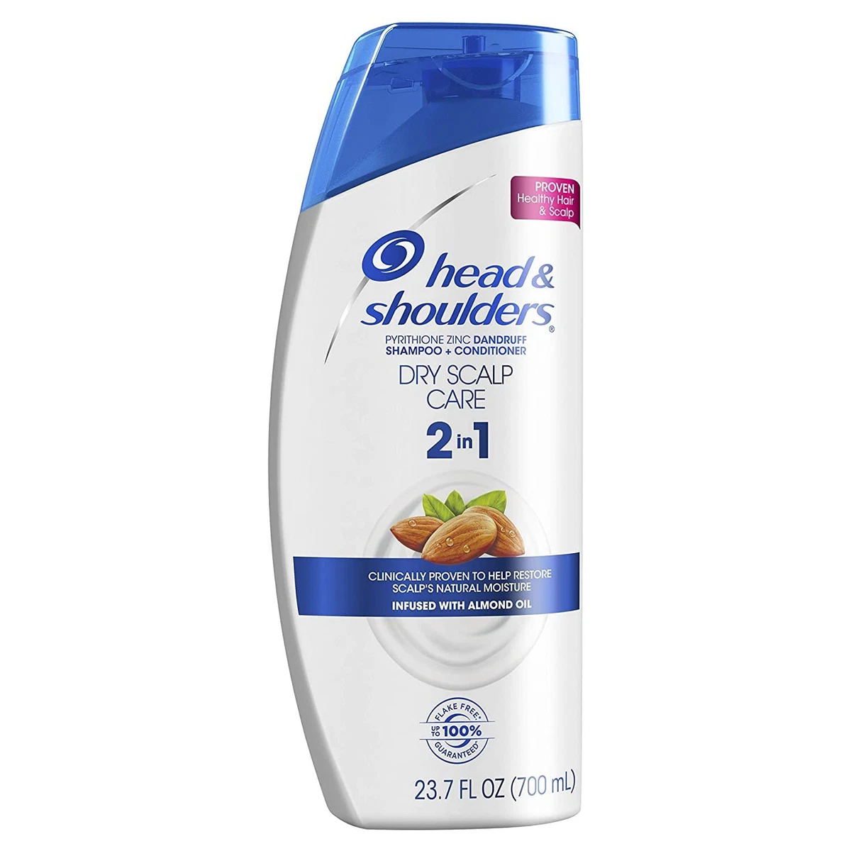 Head and Shoulders Dry Scalp Care Anti Dandruff 2 in 1 Shampoo
