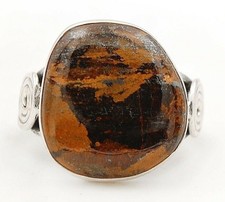 Natural Bronzite 925 Solid Sterling Silver Ring Jewelry 6.5