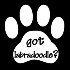 Got Labradoodle Dog Animal Pet Doggie Paw Print Vinyl Decal Sticker White 5"x5"