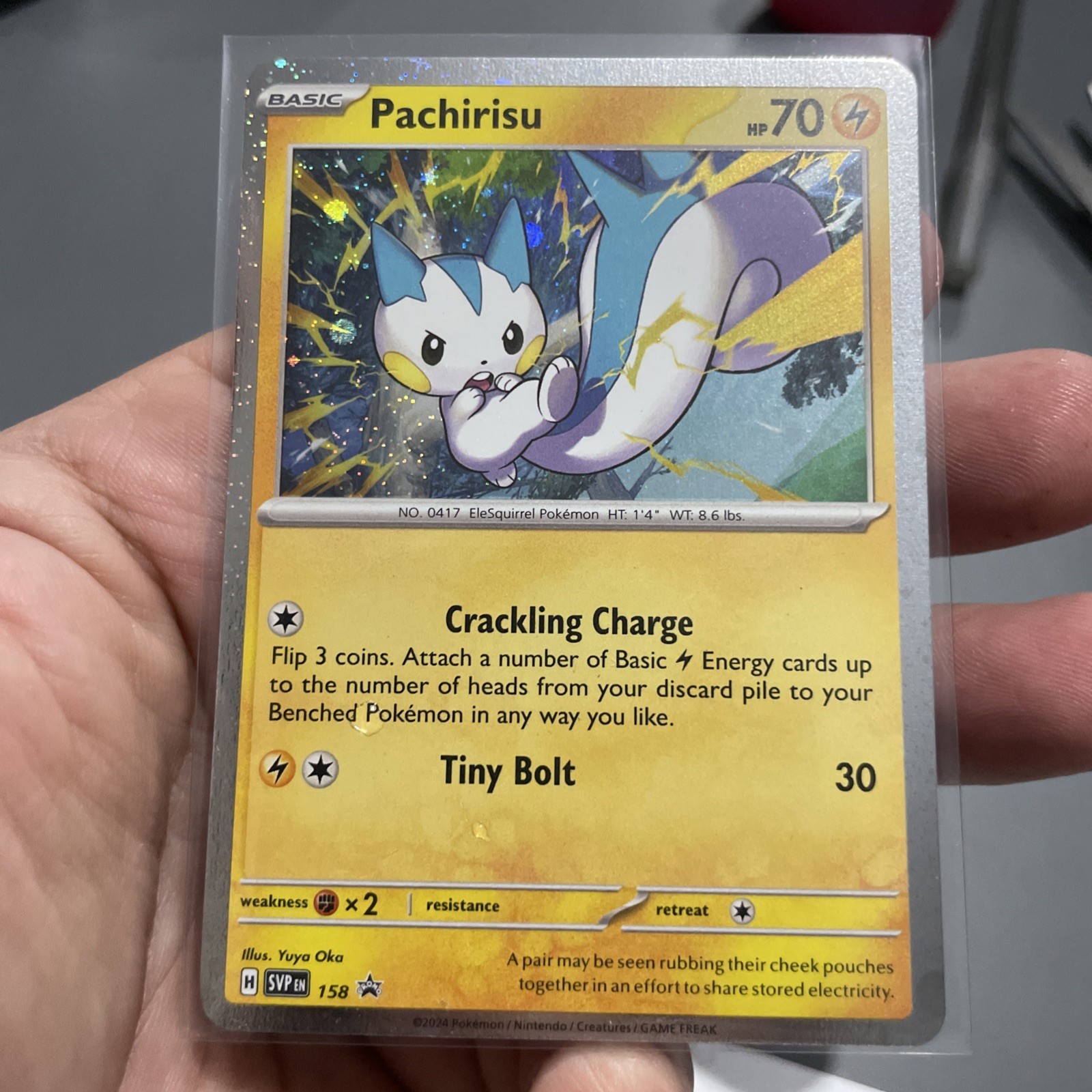 Pachirisu SVP #158 Black Star Promo Near Mint! +Bonus FREE SHIPPING!