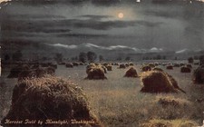 Tacoma WA Washington Early 1900s Farm Homestead Moonlight Night Vtg Postcard B25