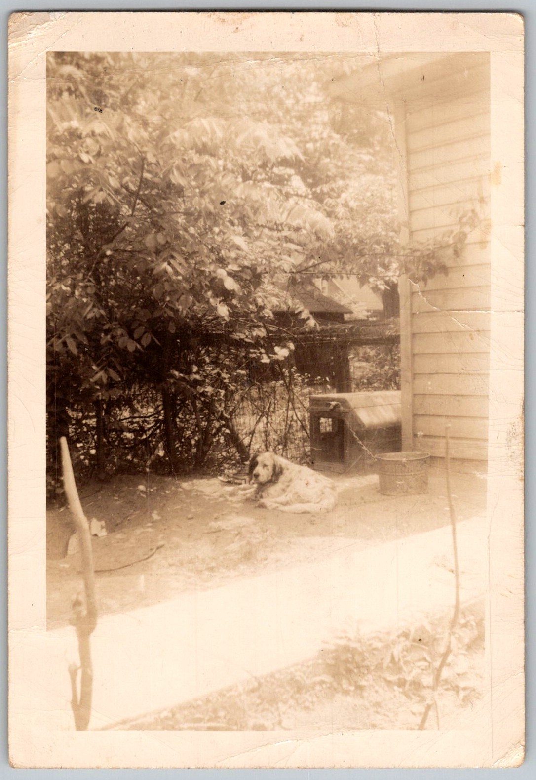 Picture 1
