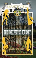 Brian Jay Nelson | Branchview | Buch | Englisch (2020) | The Unexpected Journey