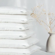 Goose Feather Down Throw Pillow Insert (26"x26", Pack of 2), Decorative Pillo...