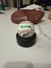 2003 Tampa Bay Devil Rays Team Signed Baseball Lou Piniella Baldelli Crawford
