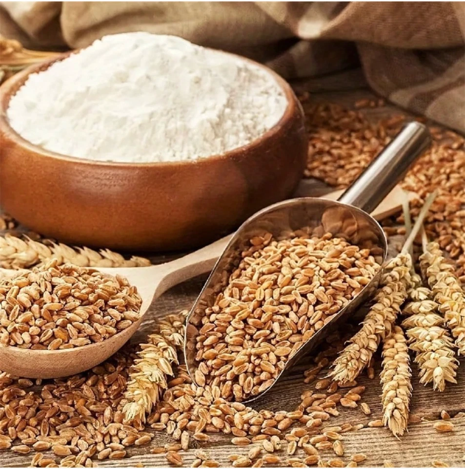 Stainless Steel Ice Cube Flour Scoop Kitchen Bar Tools Buffet Nut Grain Shovel - Image 4 of 4