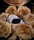 Ultimately HAUNTED Marid Djinn Vessel: Ancient Female Entity of Wealth & Wishes — photo 3