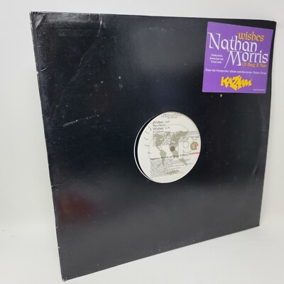 未使用 Nathan Morris - Wishes / 12\