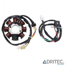 STATORE ALTERNATORE per BETA RR 450 4T (2011-2014)