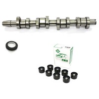 Nockenwelle Guss HydrostöSsel FüR Audi VW 1.9 2.0 038109101AH BMM