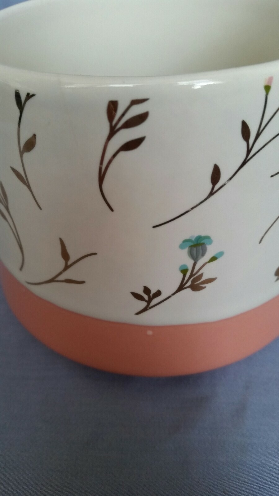 Picture 5 of 10