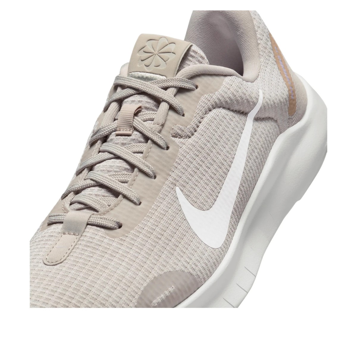 Nike Flex Experience Run 12 Light Iron Ore WOMEN'S DV0746-006