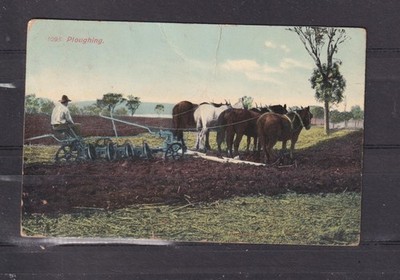 NEW SOUTH WALES, PLOUGHING, FARMER & HORSES, c1910 ppc. to Duri.