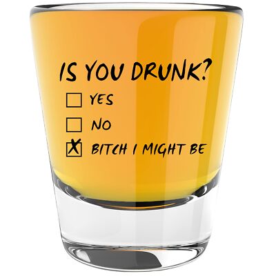 Is You Drunk Design Funny Shot Glasses for Adults Drinking Gifts for Women or...