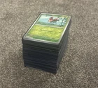 Pokémon Stellar Crown - Complete Reverse Holo Bulk / Bundle Set – All 125 cards