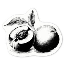 Aufkleber Sticker "Pfirsich" (DW041706)