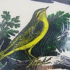 Bild 7 von 12