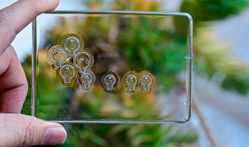 DIY modification Transparent case Clear Cover For Sony Walkman WM