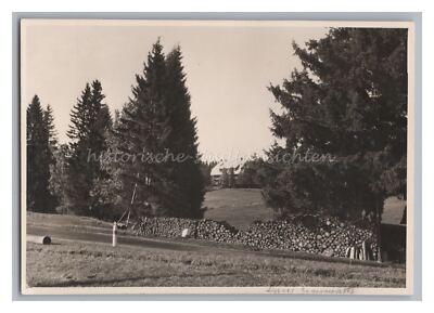 Falkau Feldberg (Black Forest) 1952 - Street House Sonnwärts - Photo 1950s