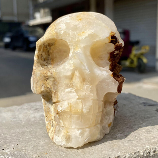 1.6LB Natural Crystal Cluster Quartz Mineral Sample Hand Carved skull