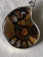 Ammonite Pendant  Fossil Gemstone With Silver tone Accents