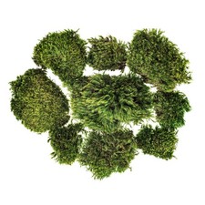 Vickerman Green Mood Moss - Artificial Moss for Decor - Rich Color and Texture