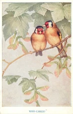Medici Postcard Pk 275 Noel Hopking: Who Cares? Finch Birds Shelter in Rain
