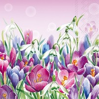 20 Servietten Crocus Light Rose Krokus SchneeglöCken FrüHling Blumen Rosa 33X33