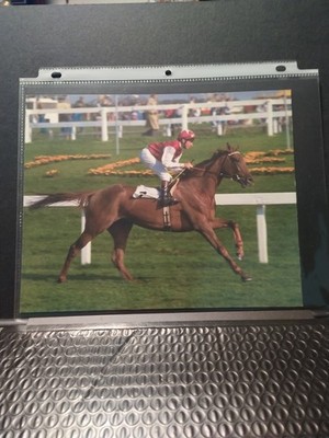 Oh So Sharp, European Champion Filly, Photo VG+++