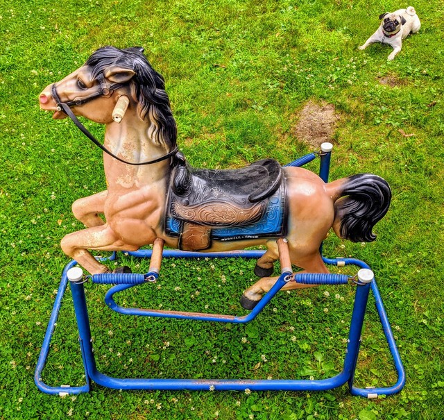wonder rocking horse