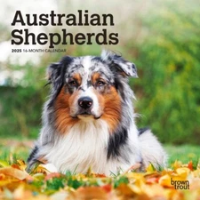 Australian Shepherds | 2025 7 x 14 Inch Monthly Mini Wall Calendar