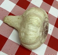 Realistic Artificial Faux Fake Food Vegetables Dirty Fresh Dug GARLIC MTC -GL43