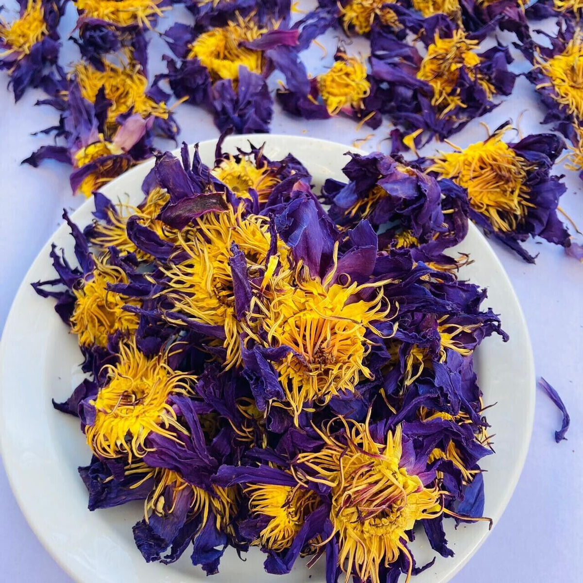 バレエ typeW grateful/checked flower smoke blue Edelweiss' Mod Magnifique Bouquet in Santa Monica CA