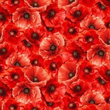 Timeless Treasures Poppy Passion Packed Red Poppy Cotton Fabric by the Yard