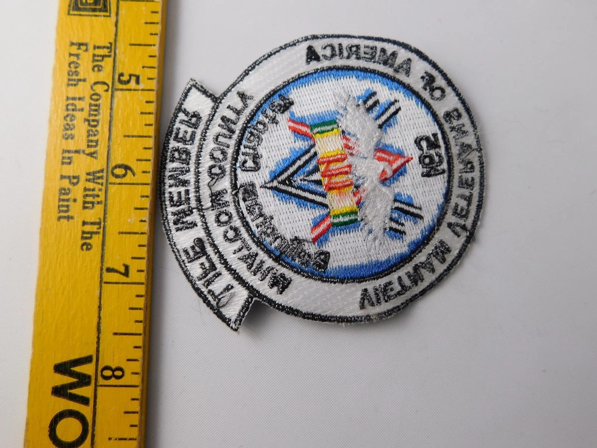 US MILITARY PATCH VIETNAM VETERANS OF AMERICA LIFE MEMBER WHATCOM COUNTY