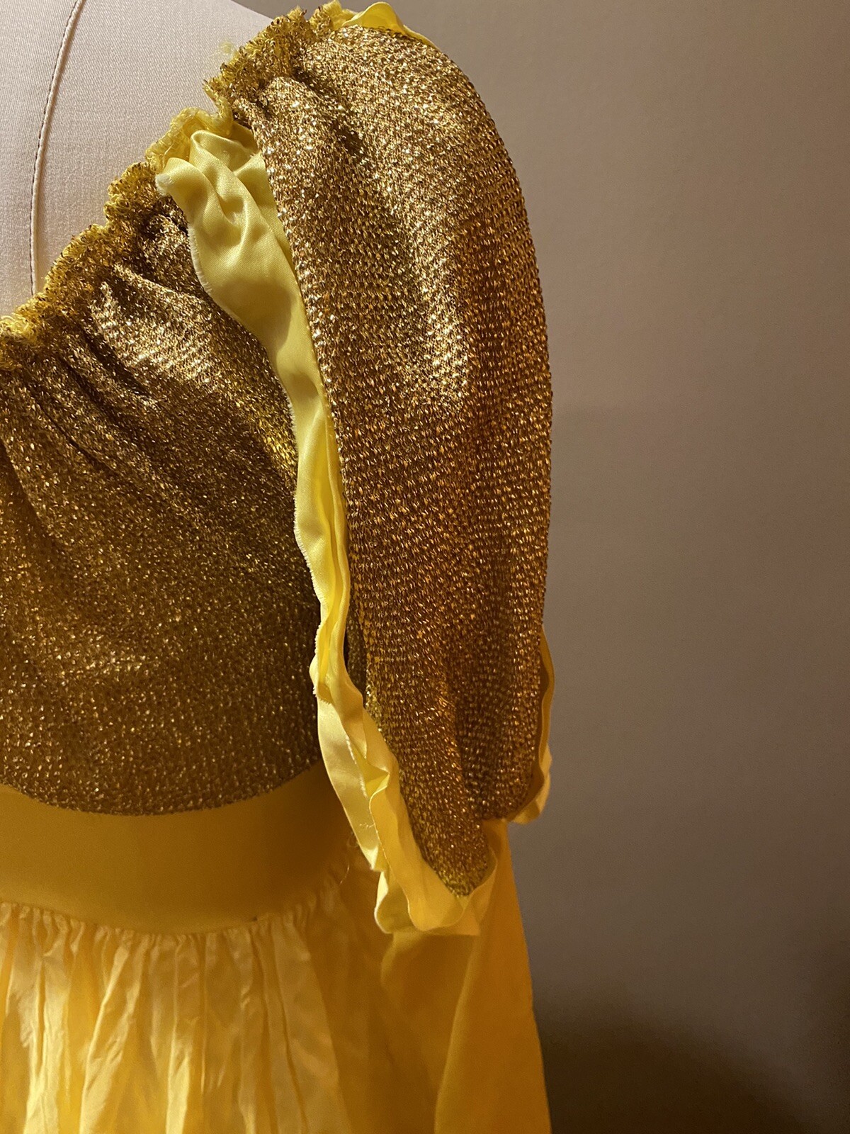 Beauty and the Beast Halloween Costume - image 8
