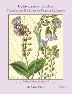 Cultivation Of Comfrey; Medicinal And Food Uses For People And Livestock