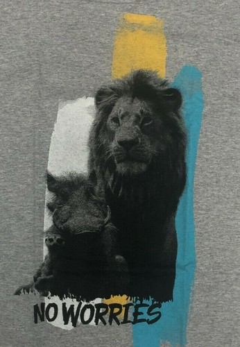 The Lion King Live Action No Worries Boys T-Shirt SMALL 12/14 Gray - 第 2/2 張圖片