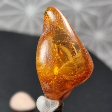 Bernstein Baltischer Bernstein 31mm 💛🧡 UV 🤍 Polen 🇵🇱 Mineralien Kristalle