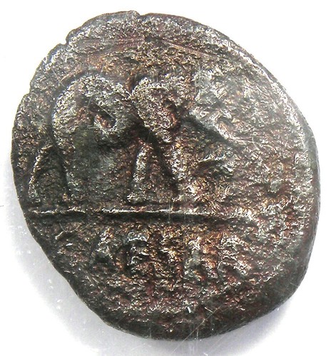Julius Caesar AR Denarius Silver Elephant Roman Coin 49 BC - Certified NGC VF - Picture 6 of 6
