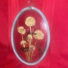 Lasting Impressions Glass Framed Dried Flowers Wall Decor Suncatcher 7  tall
