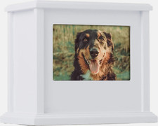 Dog or Cat Personalized Memory Box Keepsake Pet Wood WHITE new bxr