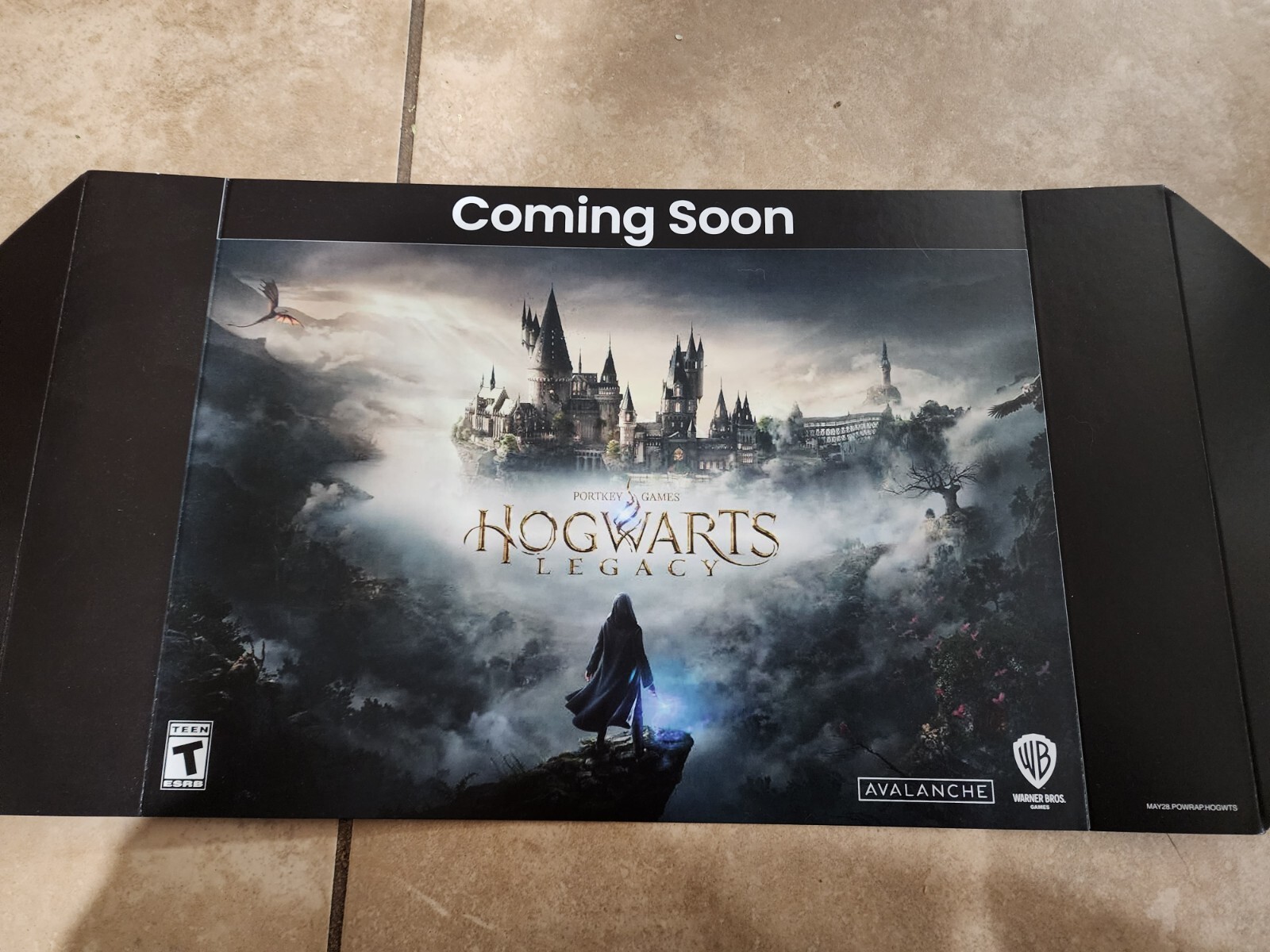 Hogwarts Legacy GameStop Advertising Promo Shelf Display Poster 12" x 9