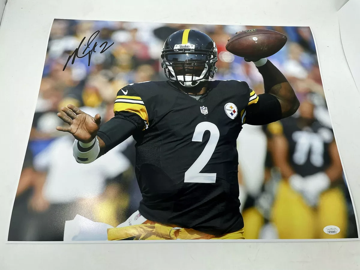 Mike vick sale steelers jersey