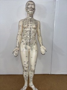 Vintage Chinese Acupuncture Doll 17” Tall No Stand