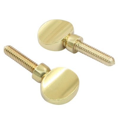Piutouyar 2 Pcs Sax Neck Screw, Gold Tightening Attach Screw Musical 